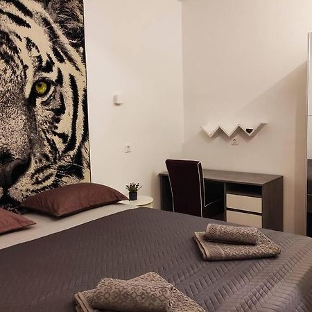 Spacious Apartment Near City Center And The Beach 斯普利特 外观 照片