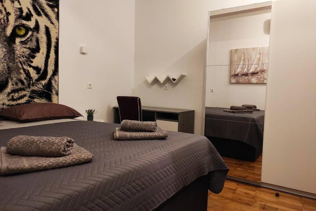 Spacious Apartment Near City Center And The Beach 斯普利特 外观 照片