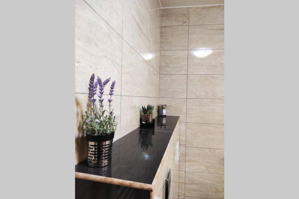 Spacious Apartment Near City Center And The Beach 斯普利特 外观 照片