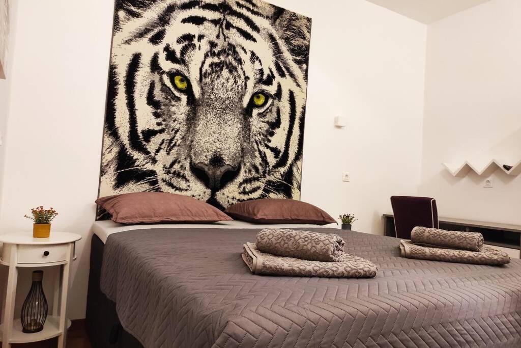 Spacious Apartment Near City Center And The Beach 斯普利特 外观 照片